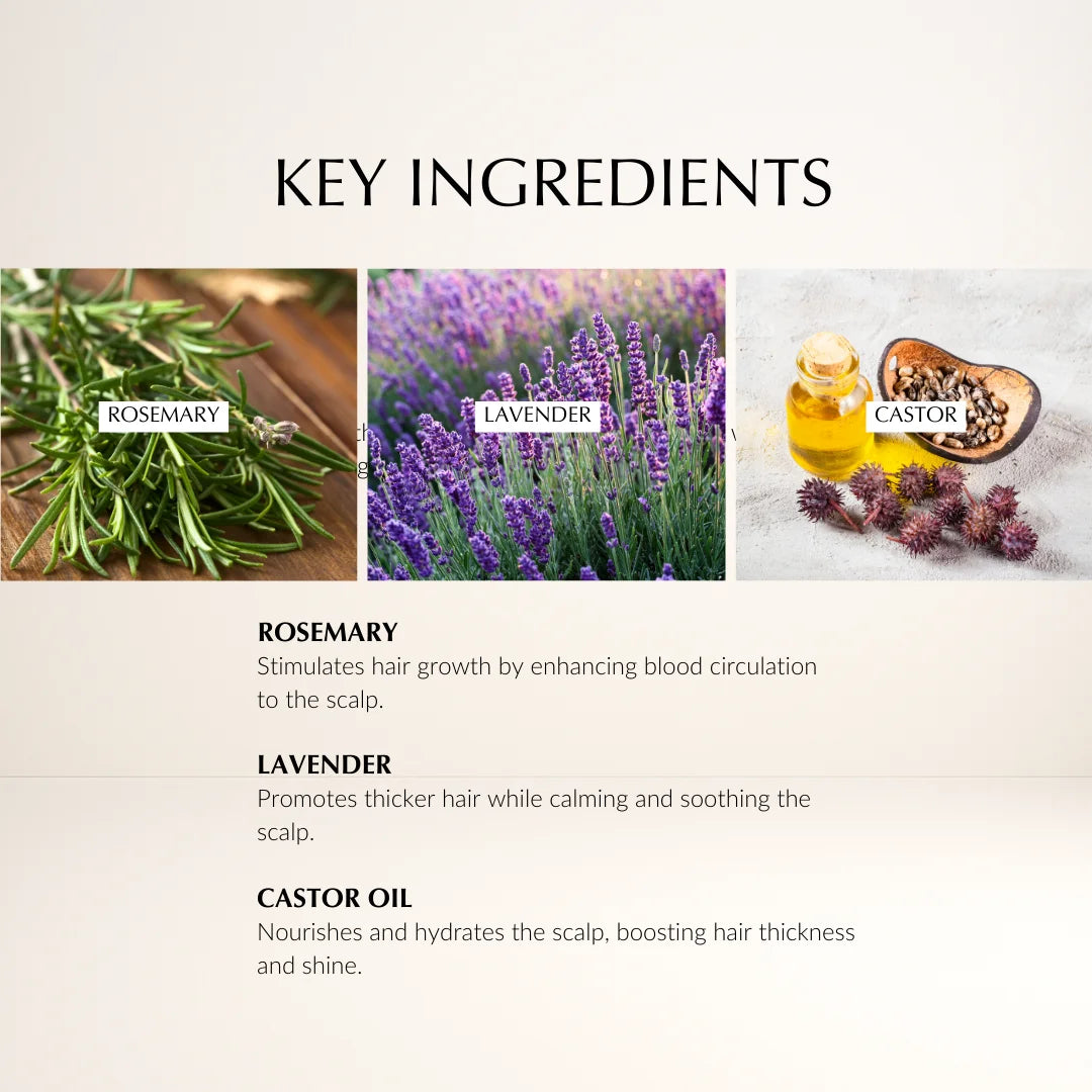 ProActive Rosemary Hair Booster Oil | Hair Strengthening